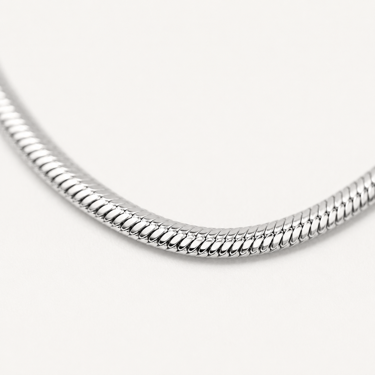 Thin Flat Snake Chain Necklace